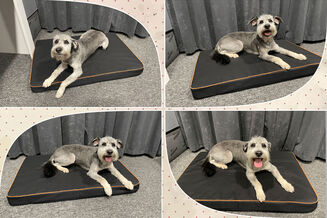 Pelech pro psa O'Ahu Plus L 90×60×8 cm - 16