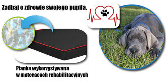 Pelech pro psa O'Ahu Plus L 90×60×8 cm - 11